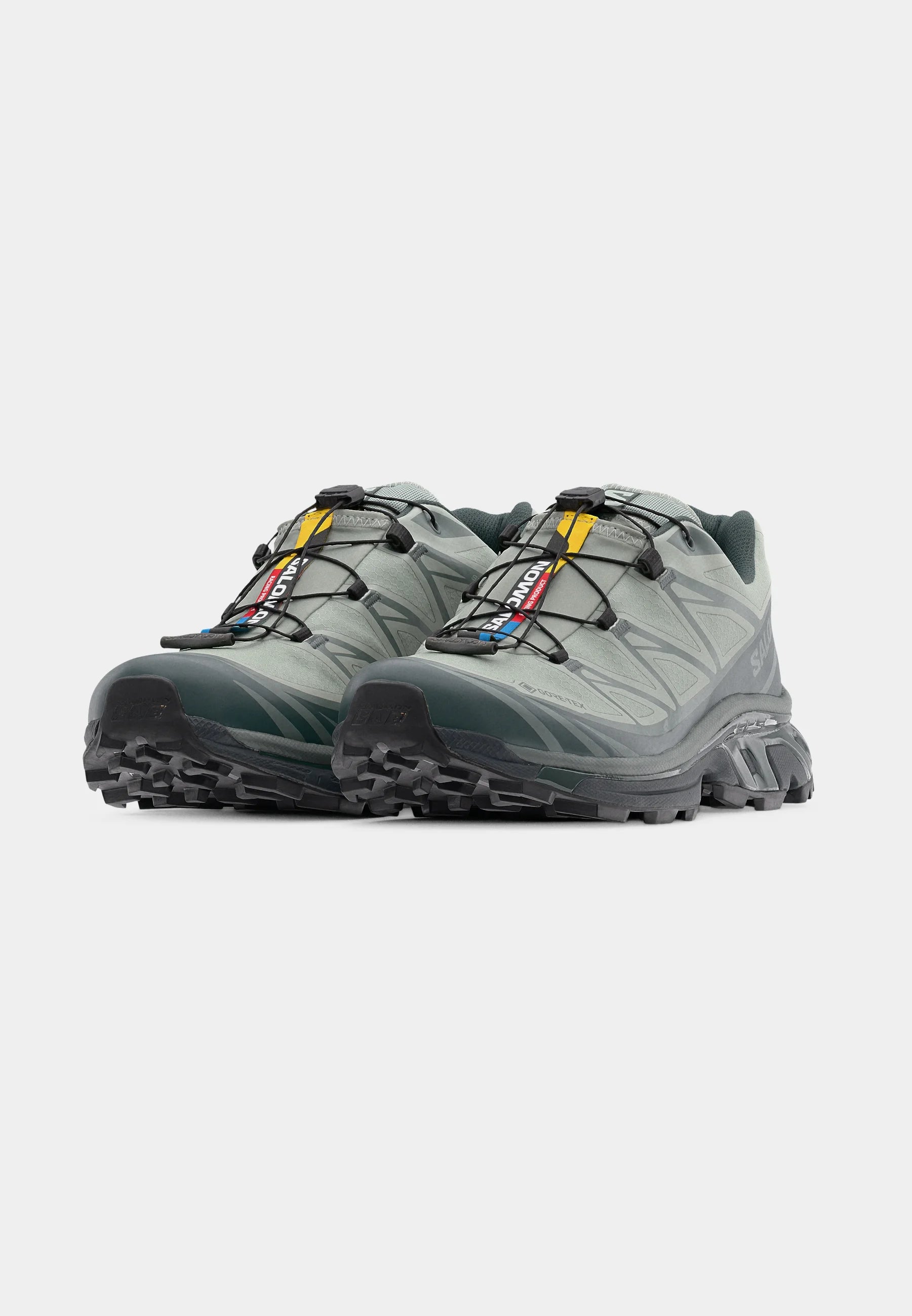 Salomon XT-6 GTX IRON Sedona Sage