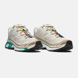 Salomon XT-6 Rainy Day / Chinchilla / Dynasty Green
