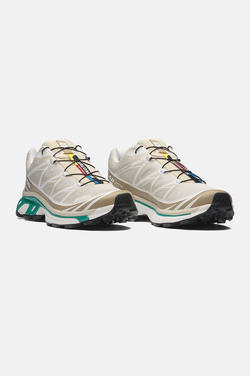 Salomon XT-6 Rainy Day / Chinchilla / Dynasty Green